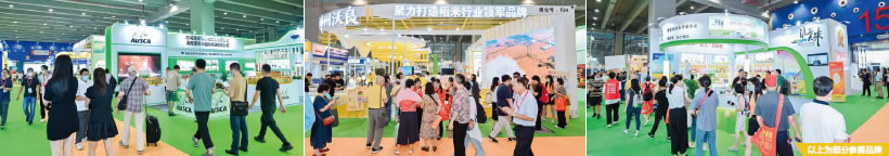 大米行业市场前景