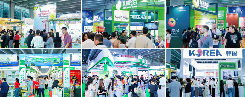 大米行业市场前景