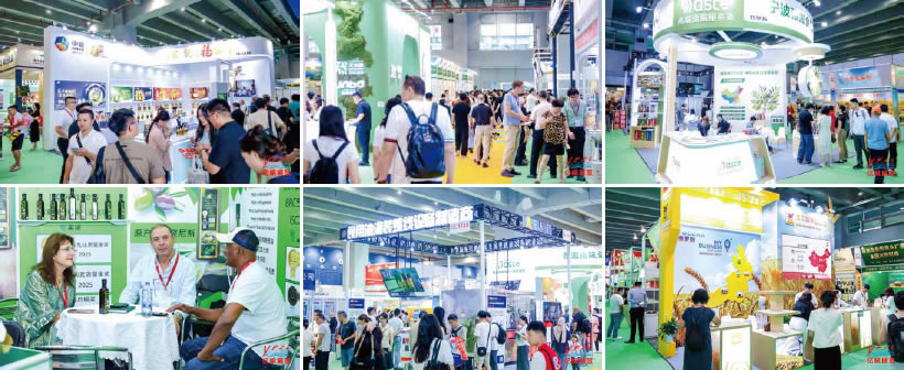 about IGO China